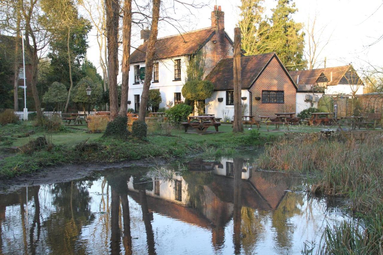 Ovington  Lane End Cottage المظهر الخارجي الصورة