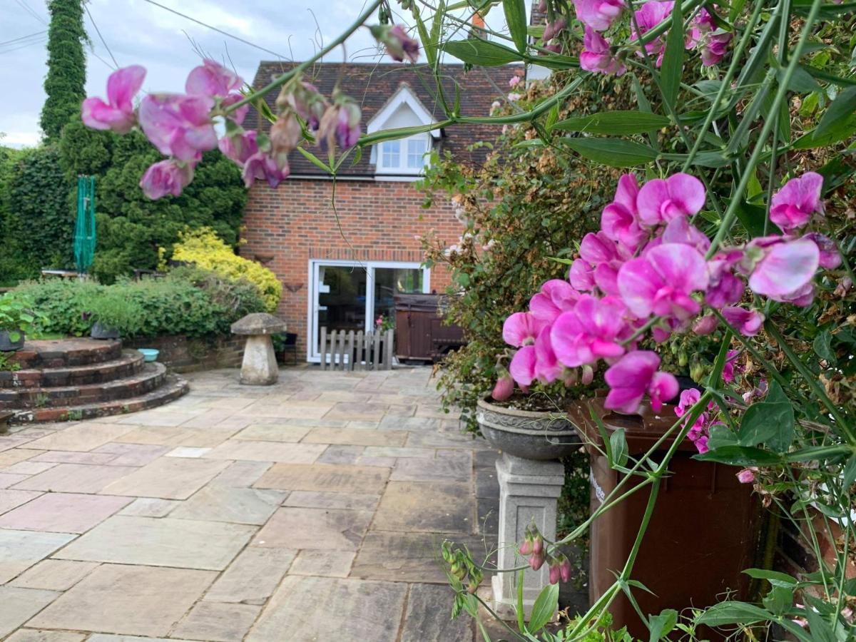 Ovington  Lane End Cottage المظهر الخارجي الصورة
