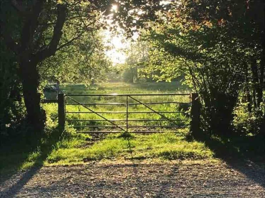 Ovington  Lane End Cottage المظهر الخارجي الصورة